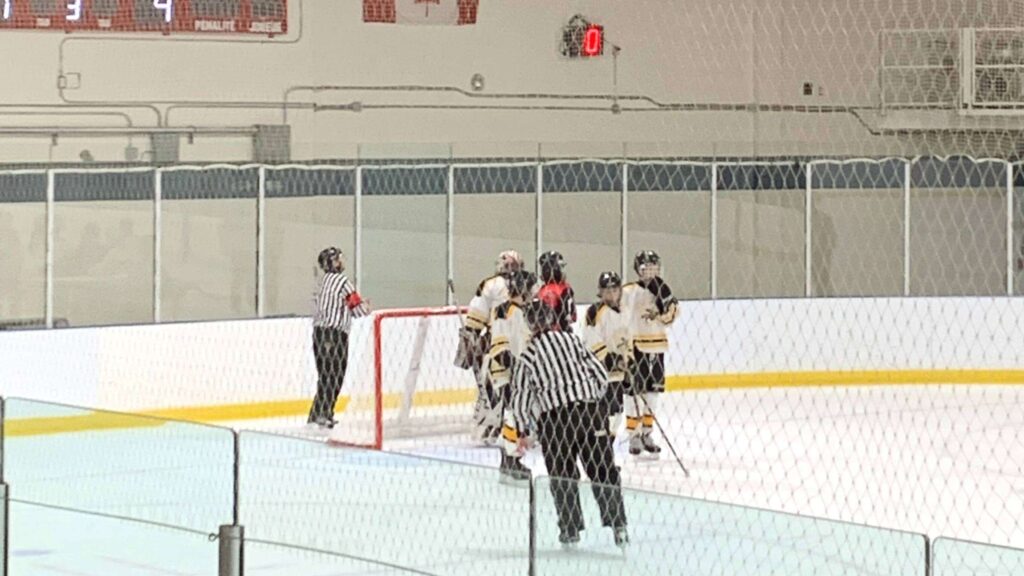 A referee skating over to a goal post on a hockey rink