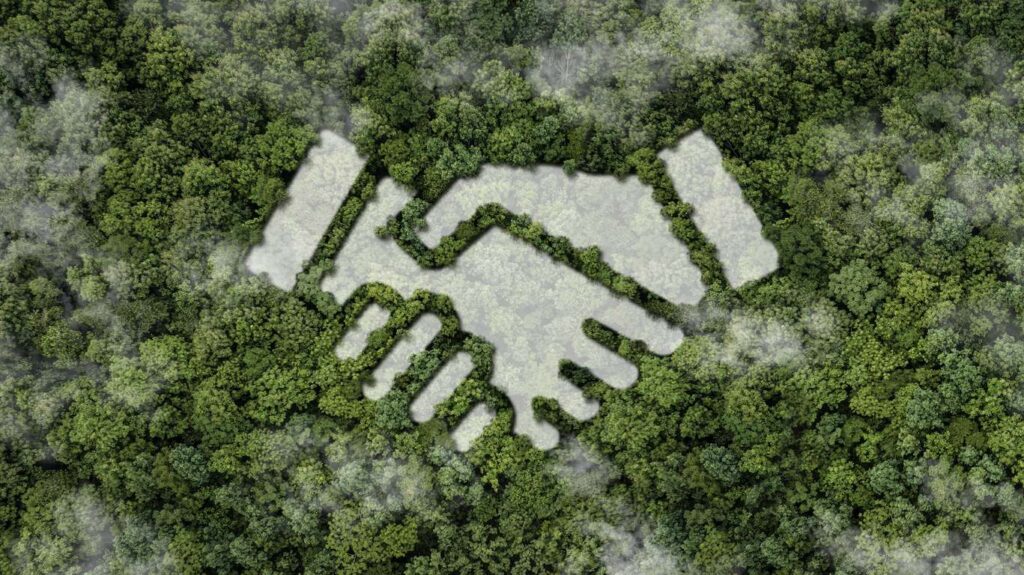 Forest with outline of a handshake